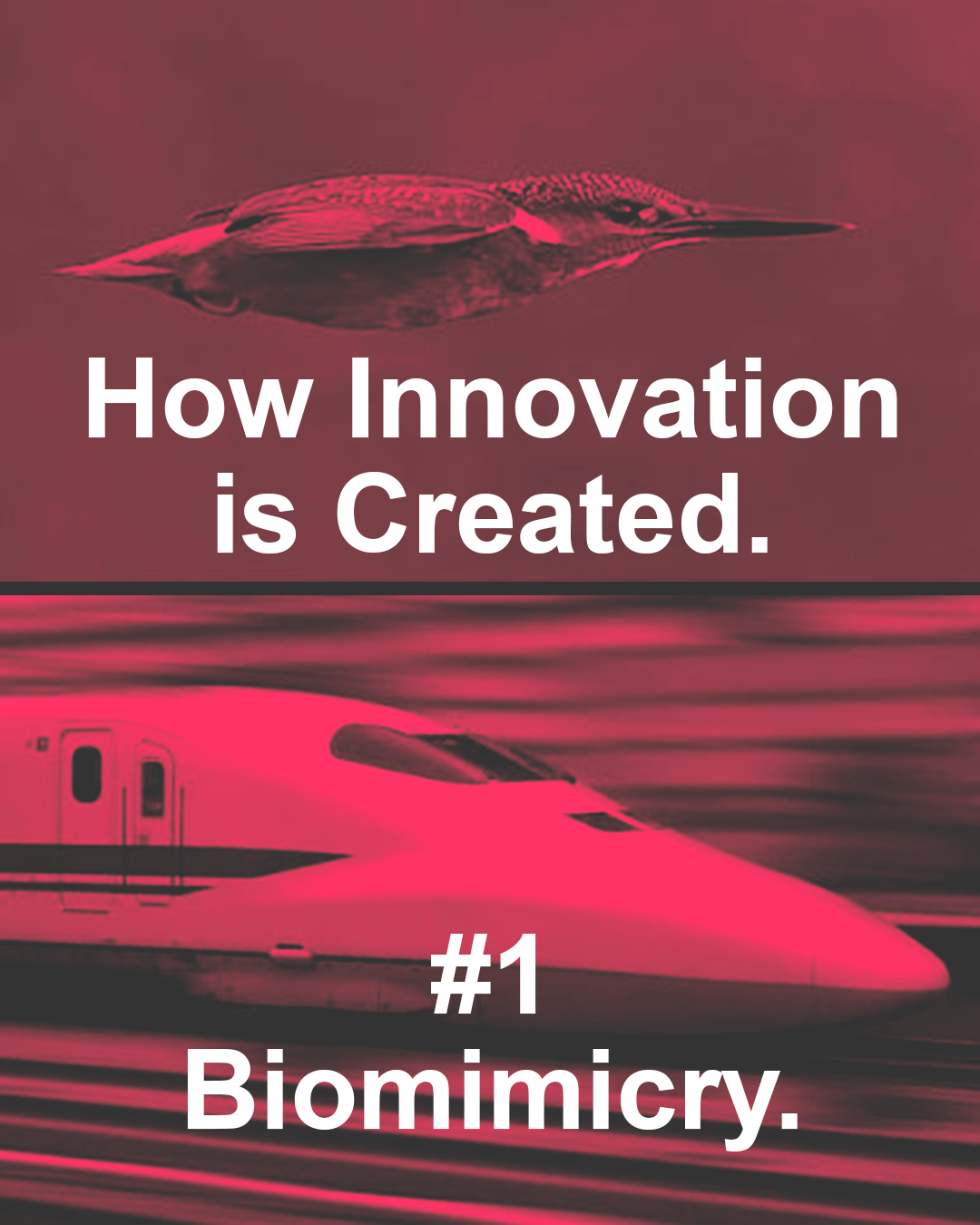 Tools of Innovation #1: Biomimicry