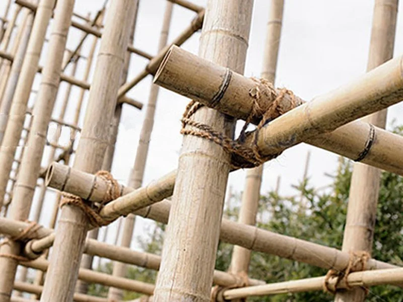 bamboo.jpg