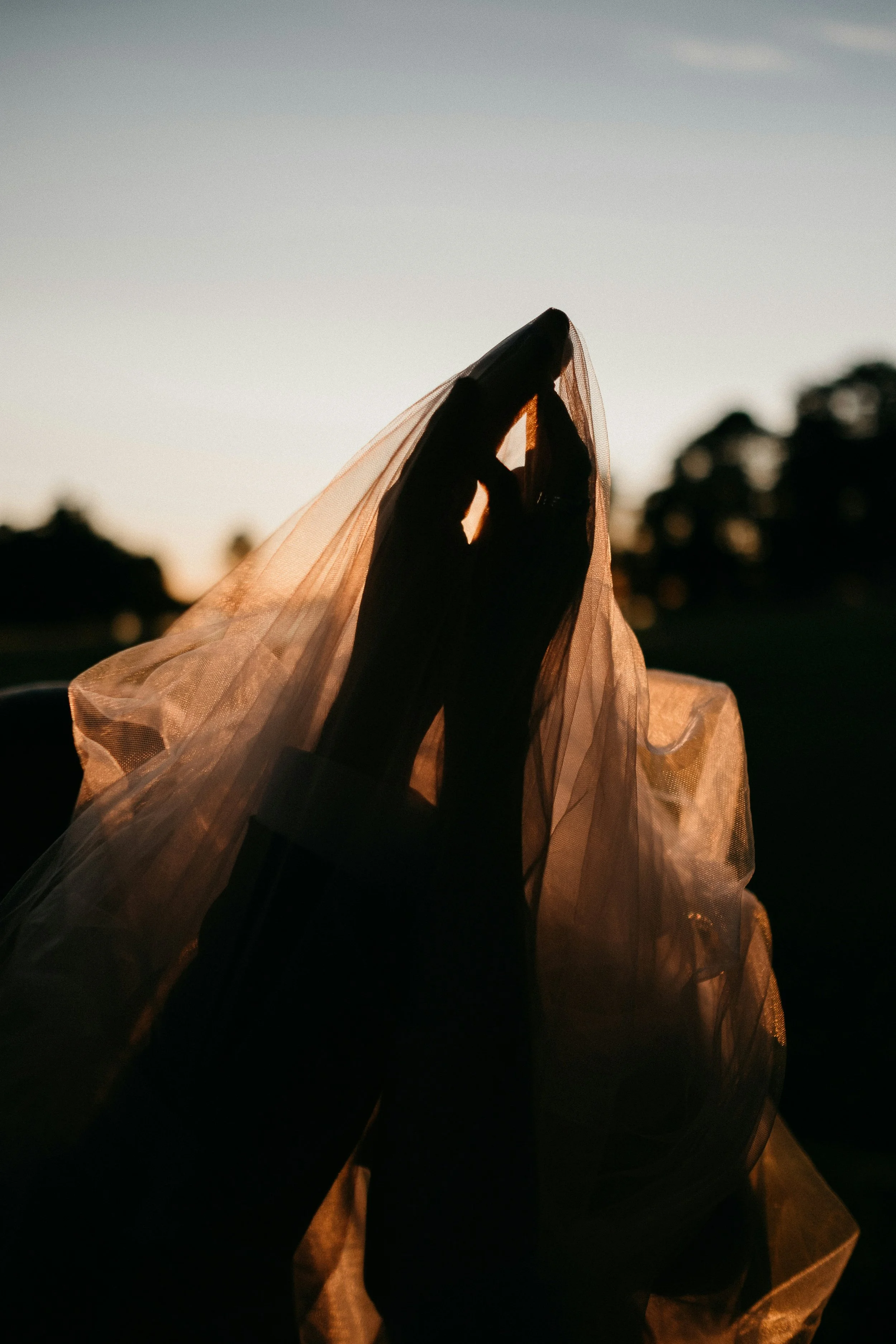 Person holding a plastic bag with sunlight shining through, outdoors during sunset or sunrise with trees in the background.