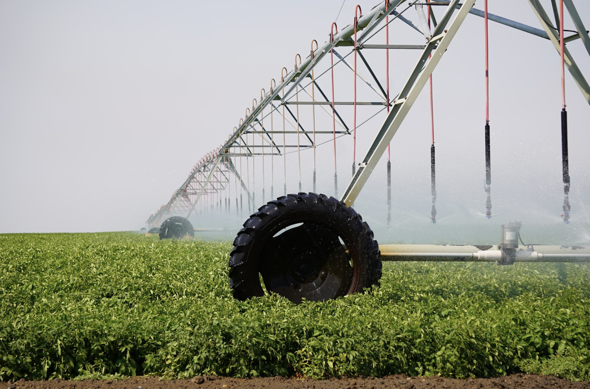 A large agricultural crop sprayer in a green field spraying pesticides or fertilizers, with a blue sky in the background.
