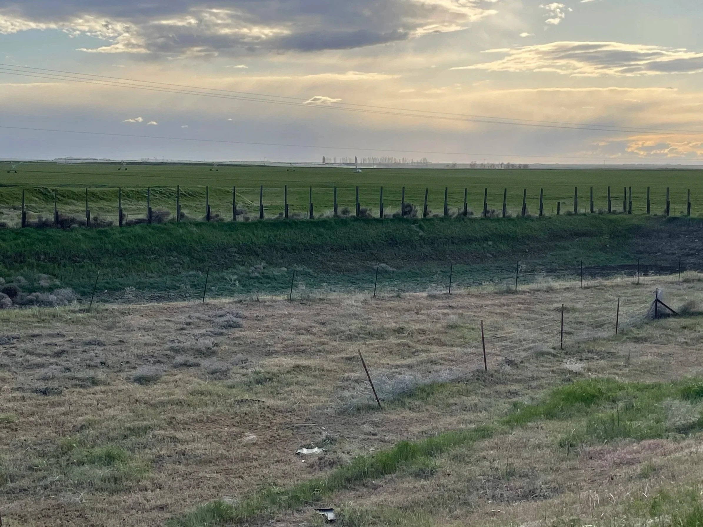 A rural landscape featuring wide green fields, a fence, power lines, and a cloudy sky during sunset.