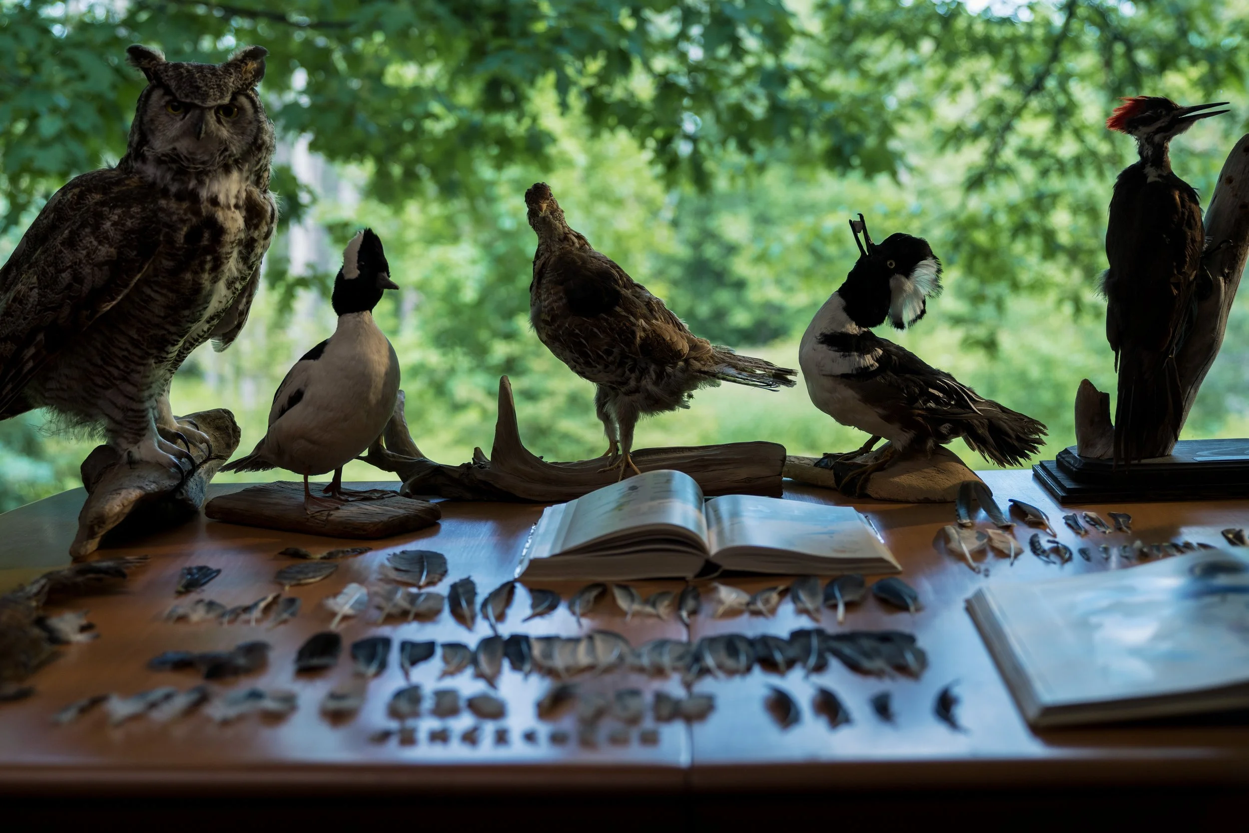 114_The Alkonost_UNIT STILLS_PeterGordonPhoto.jpg