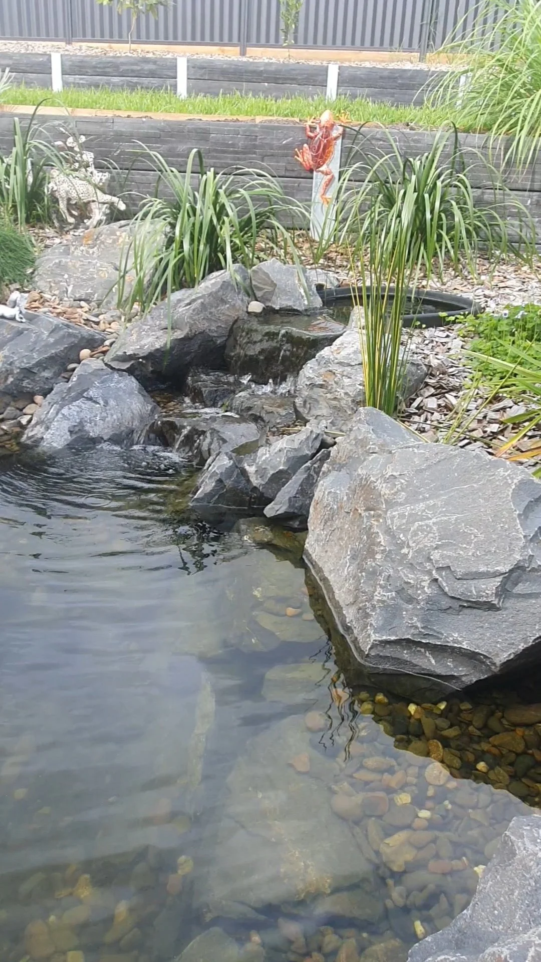 VideoCapture_20260518-153053.jpg