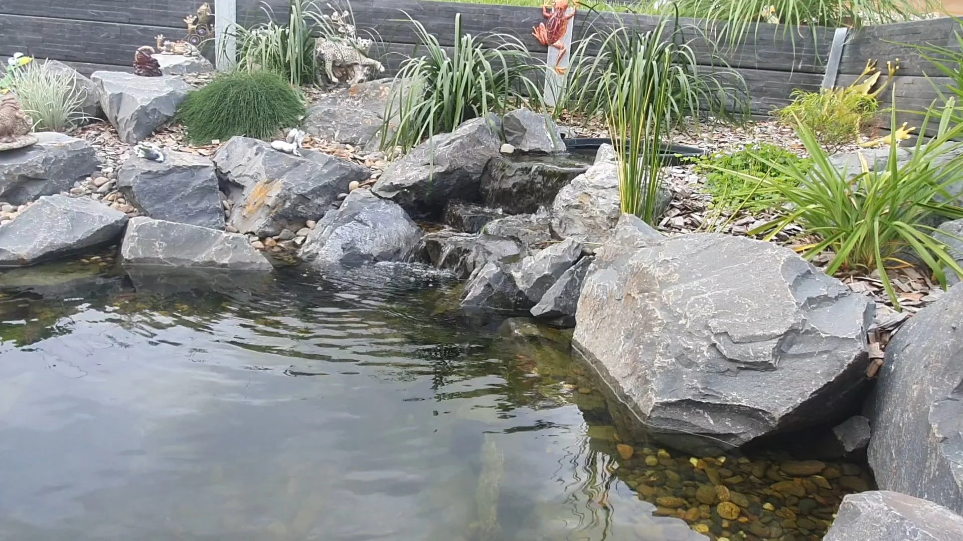 VideoCapture_20260518-153147.jpg