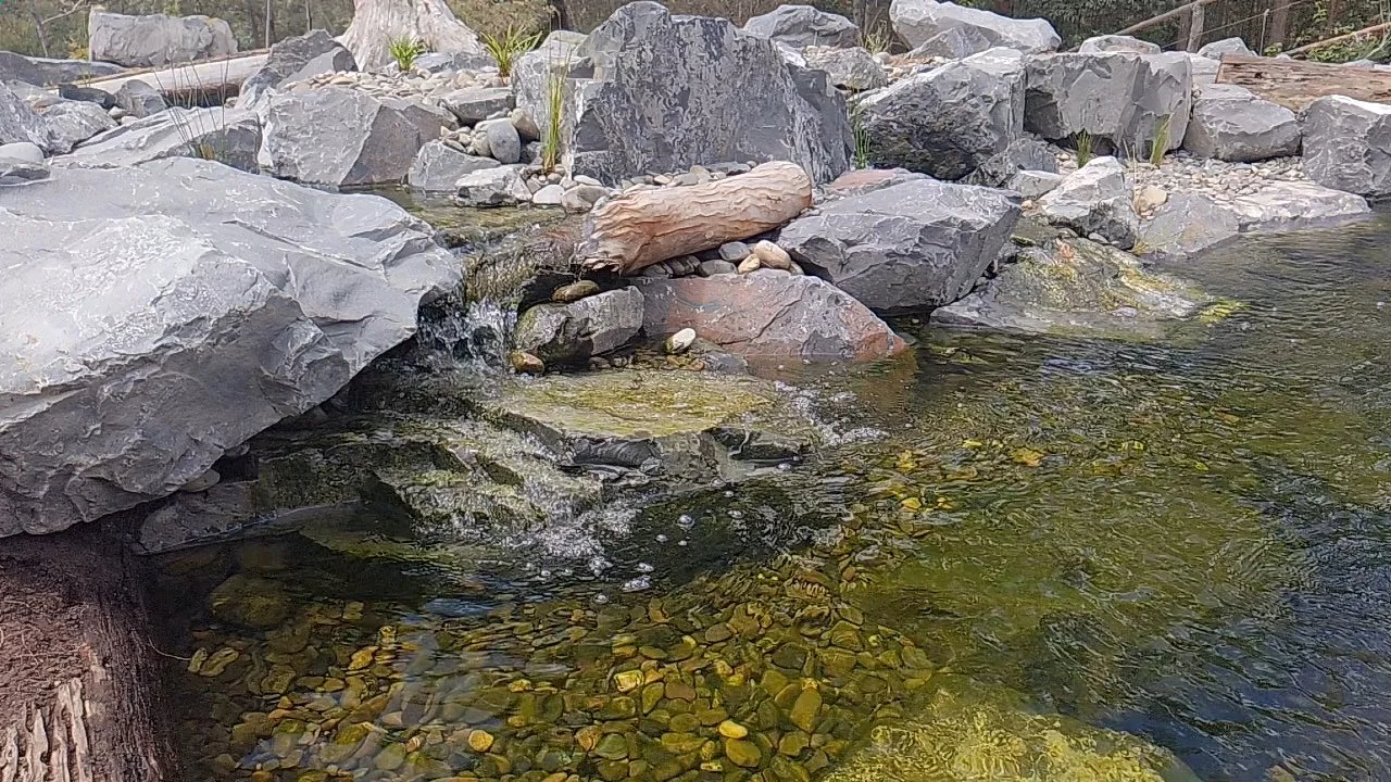 VideoCapture_20260518-153526.jpg