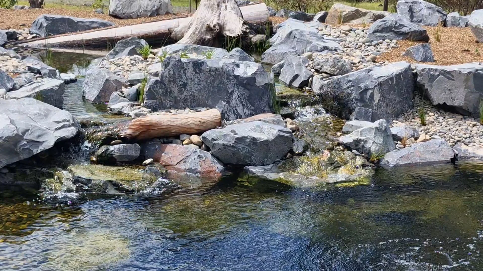 VideoCapture_20260518-153600.jpg
