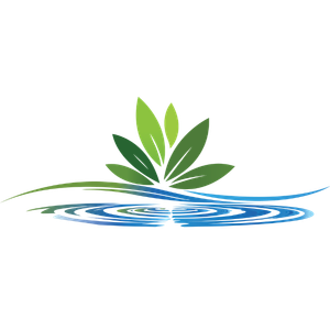 An illustration of a green plant with large leaves growing from water with reflections, set against a black background.
