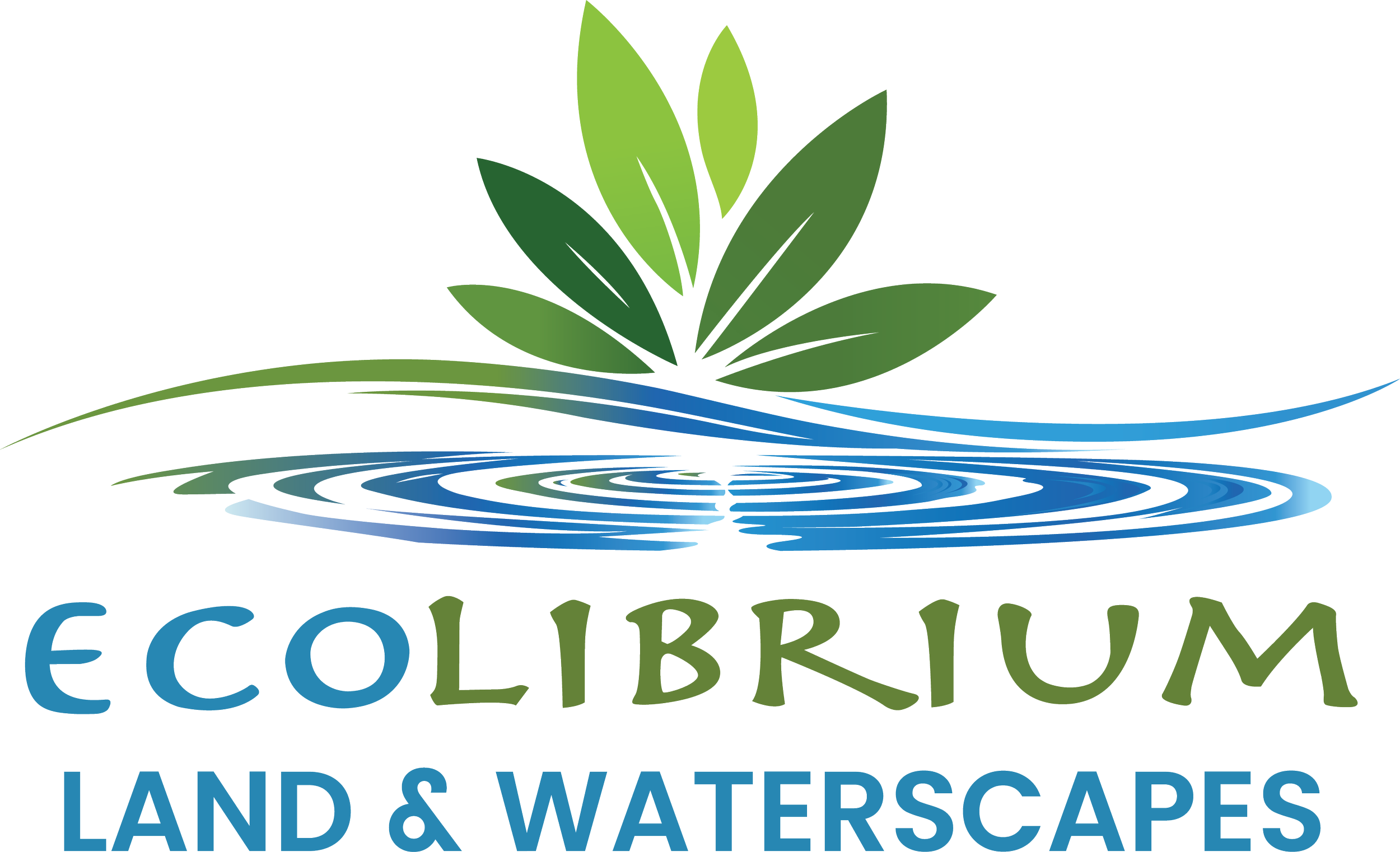 Graphic logo with green leaves above a body of water reflecting the leaves, the text 'ECOlibrium' in green, and additional text 'Landscapes, Waterscapes' in blue.