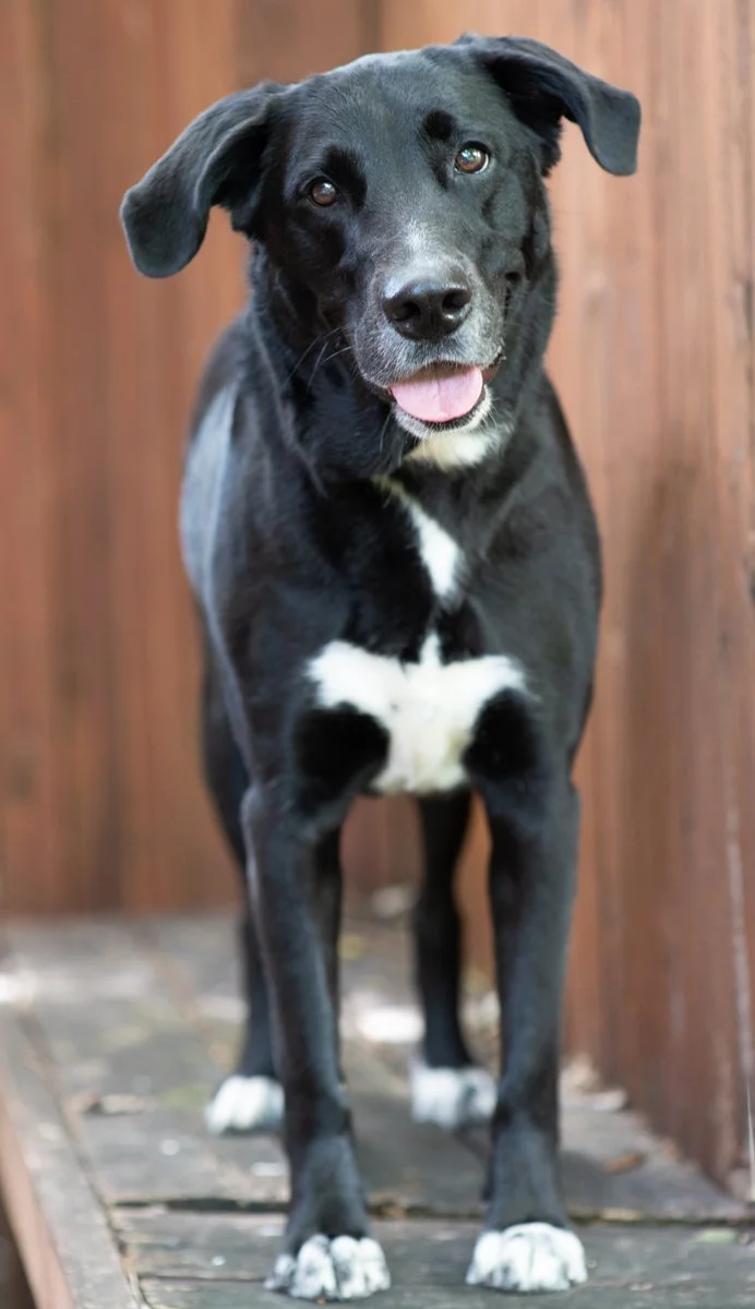 Bella-94.jpg