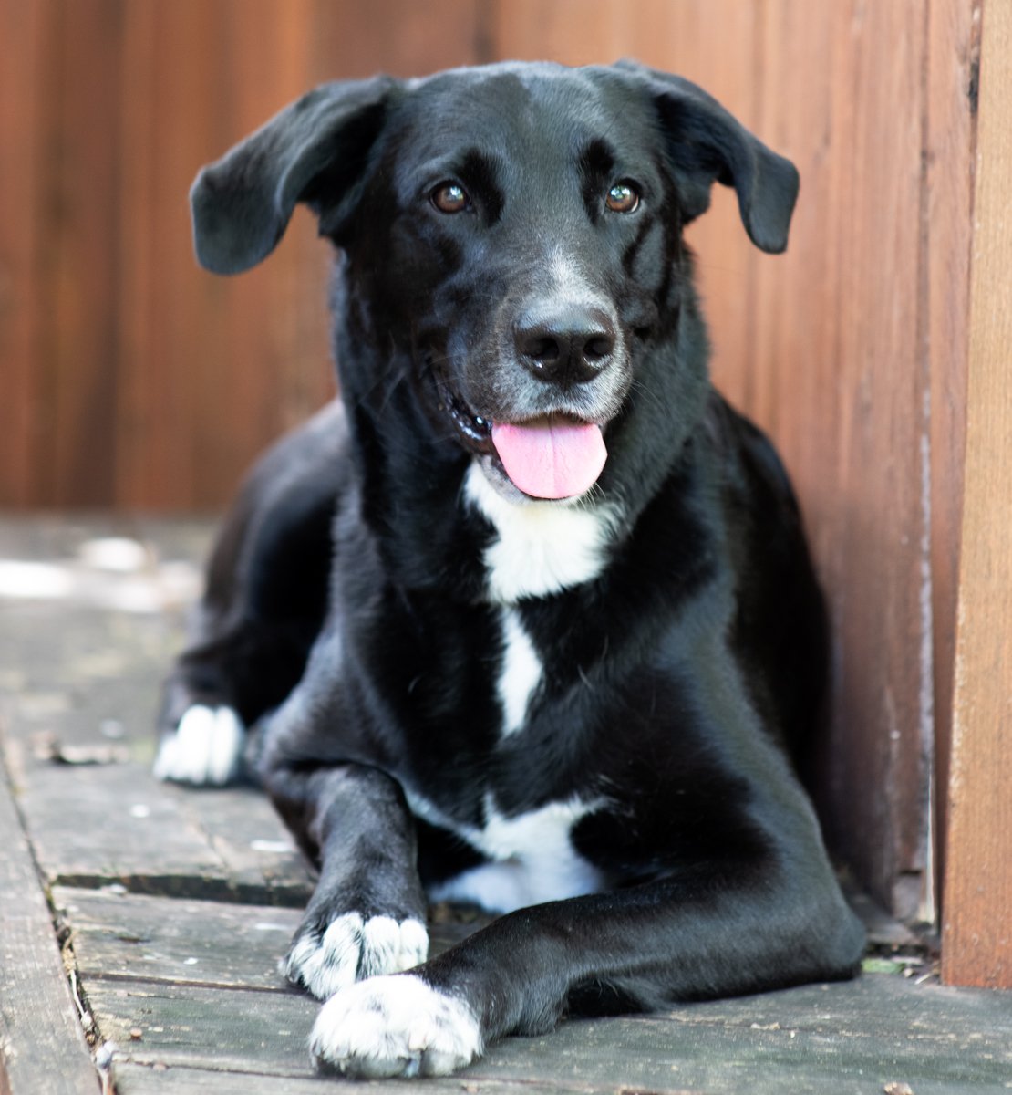 Bella-59.jpg
