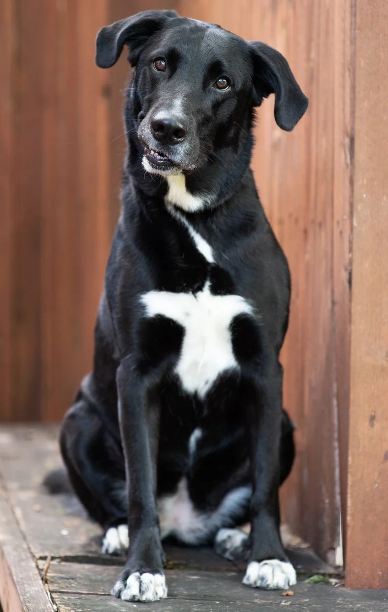 Bella-30.jpg