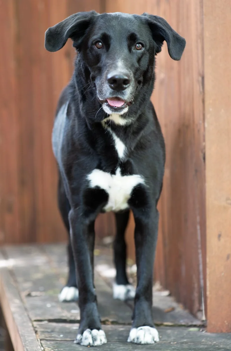 Bella-91.jpg