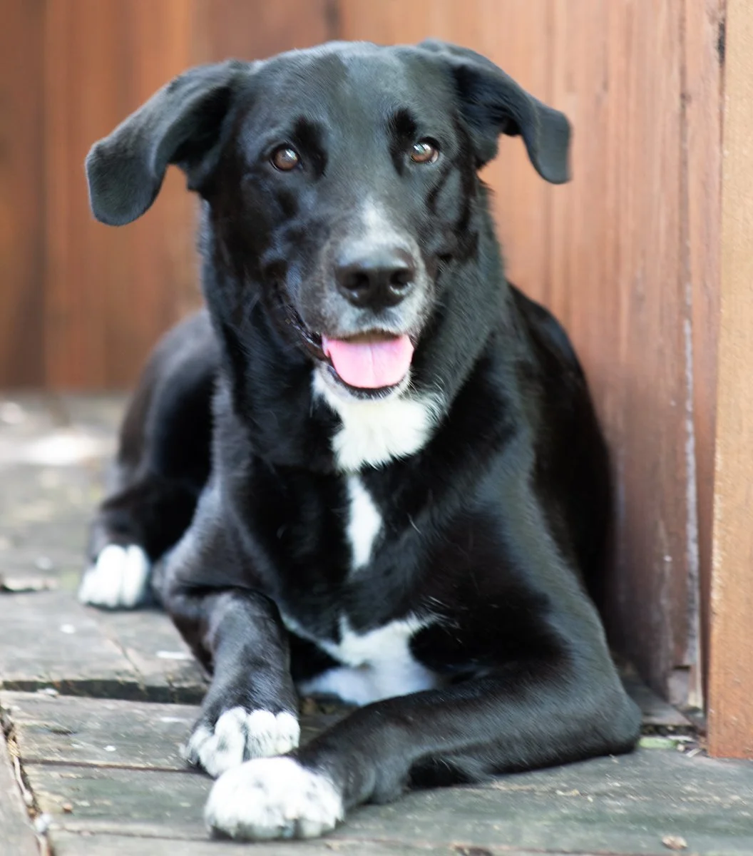 Bella-54.jpg