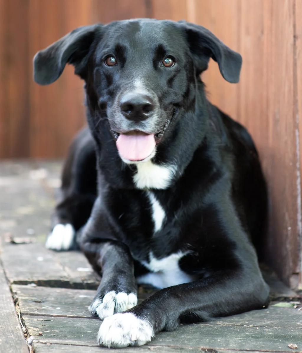Bella-47.jpg