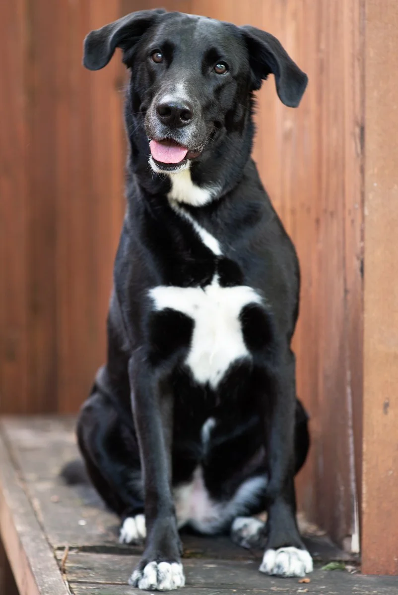 Bella-37.jpg