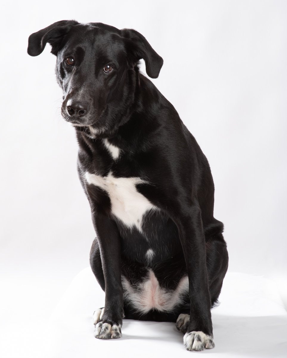 Bella-005.jpg