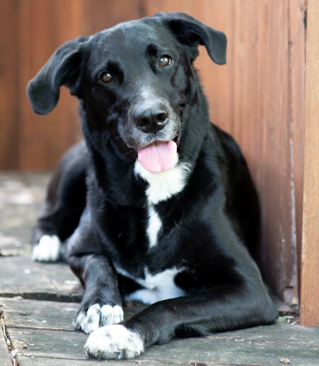 Bella-71.jpg