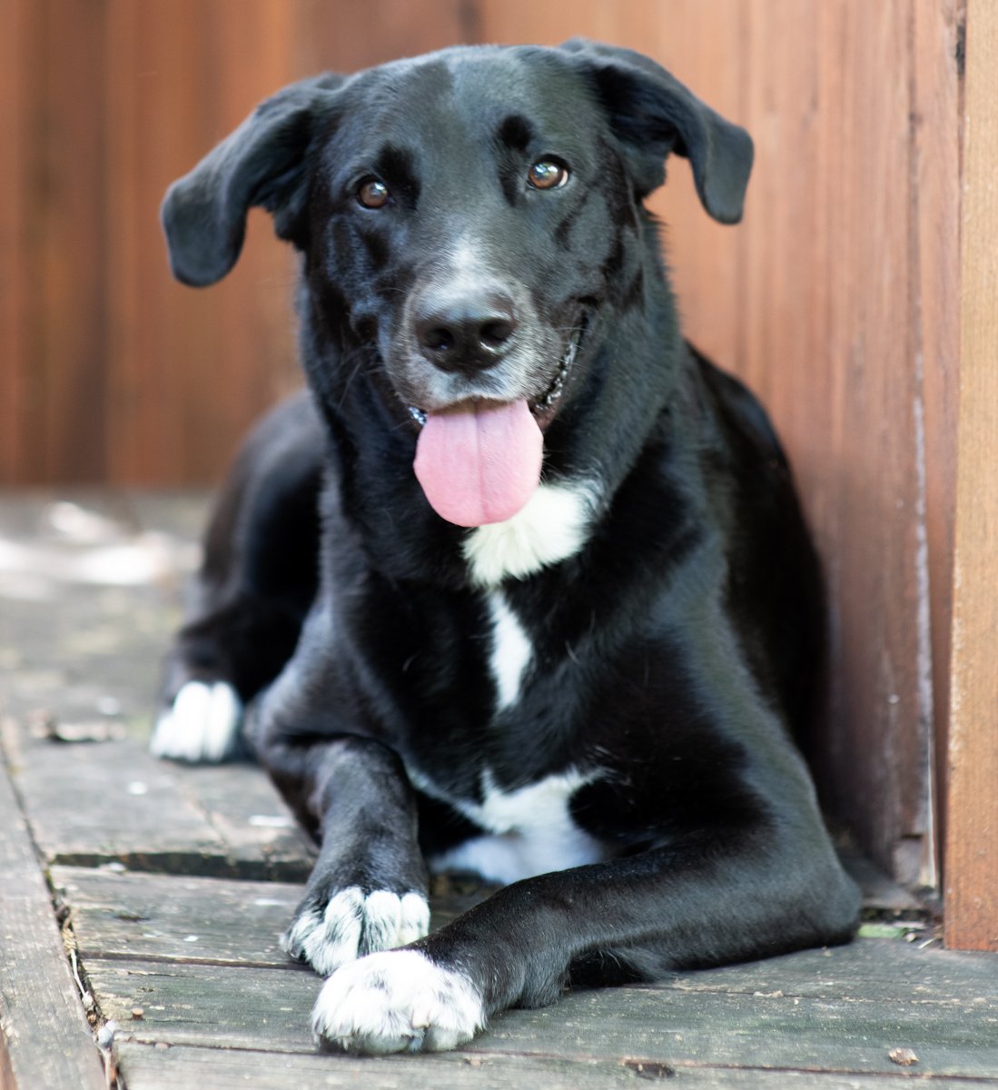 Bella-56.jpg
