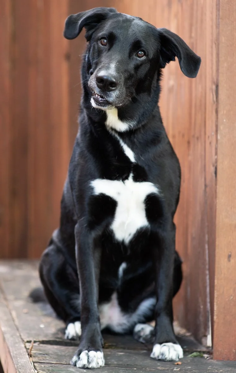 Bella-29.jpg
