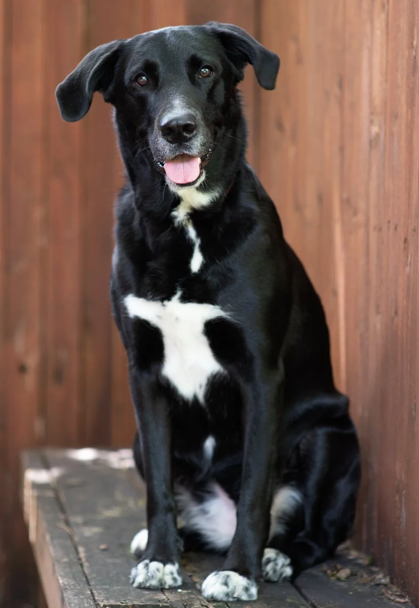 Bella-10.jpg
