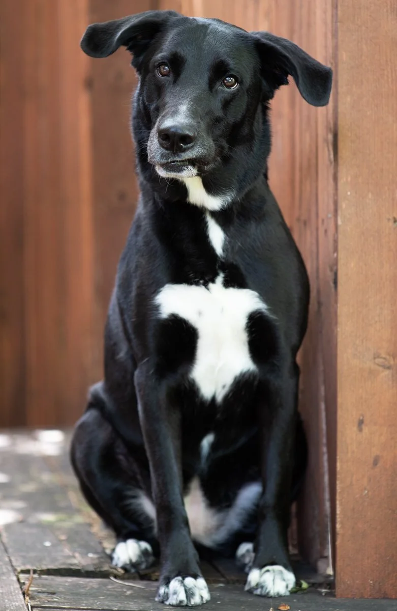 Bella-19.jpg