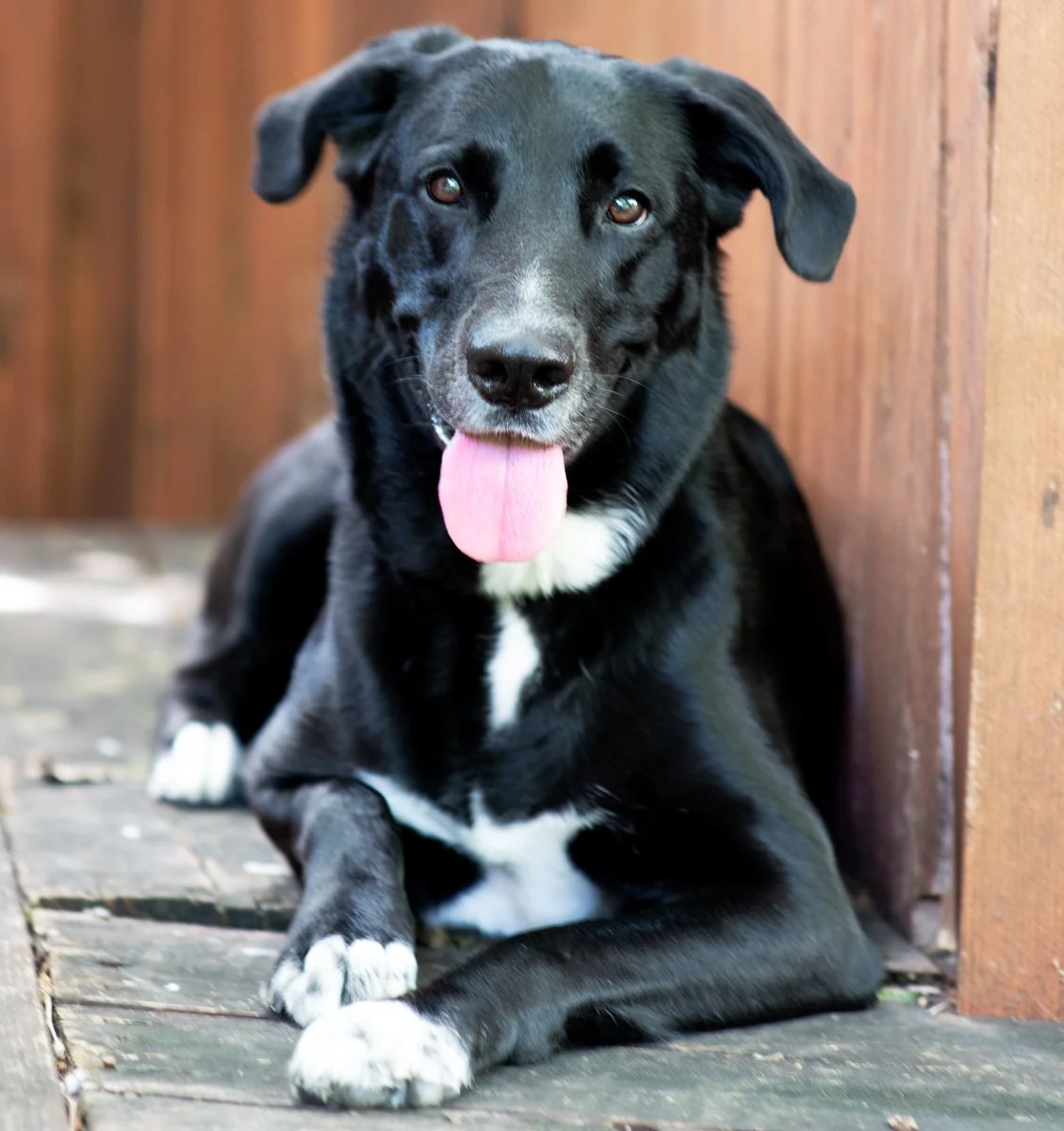 Bella-61.jpg