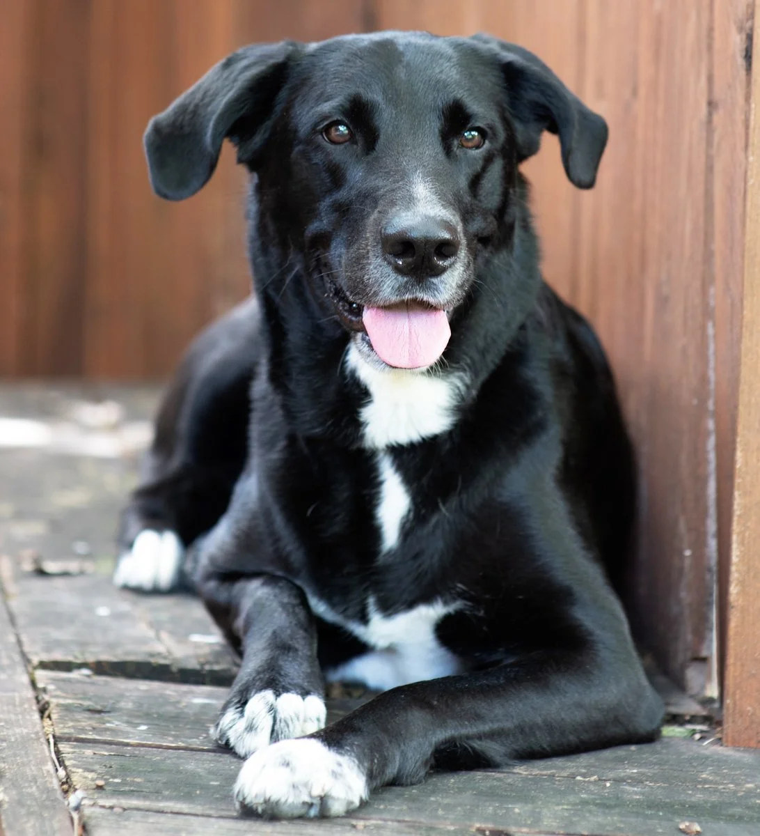 Bella-58.jpg