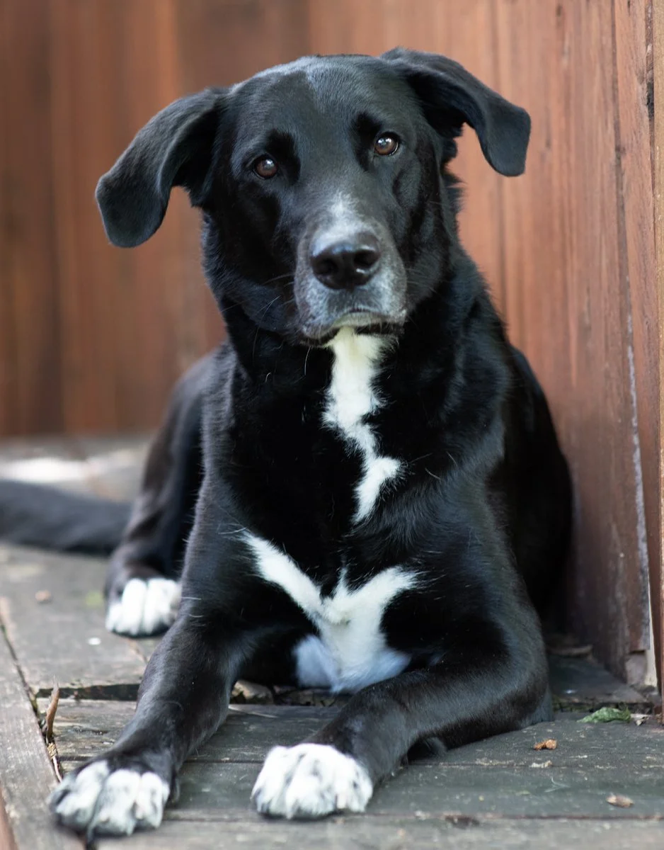Bella-27.jpg