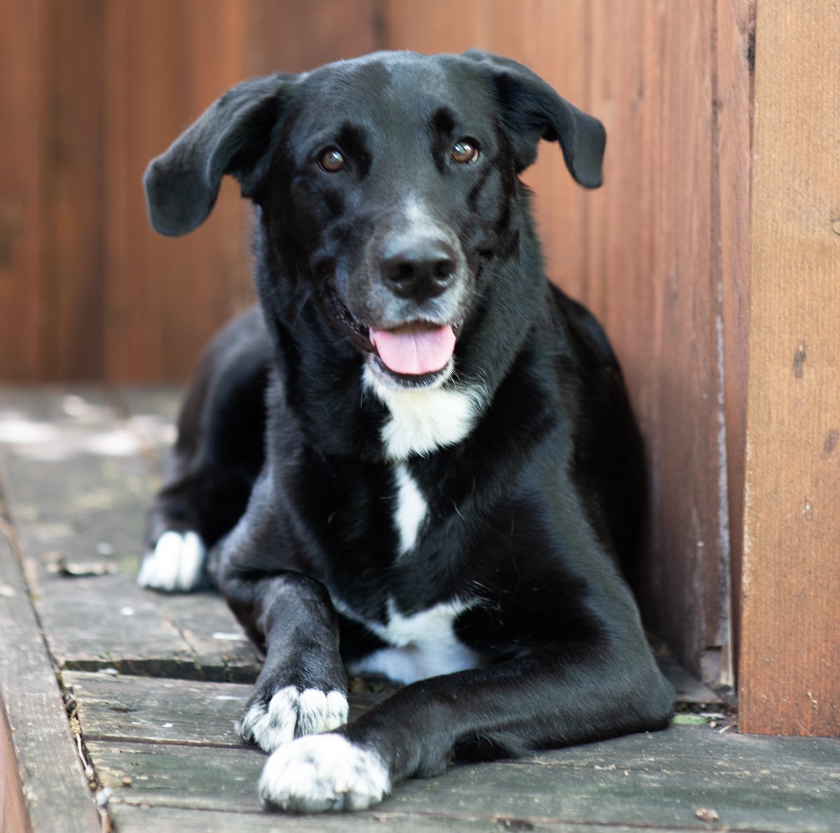 Bella-53.jpg