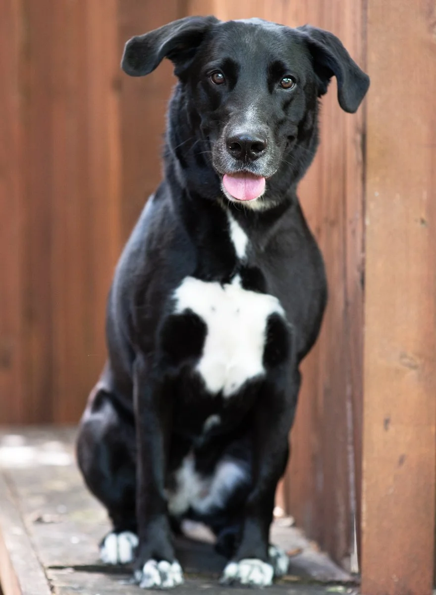Bella-78.jpg
