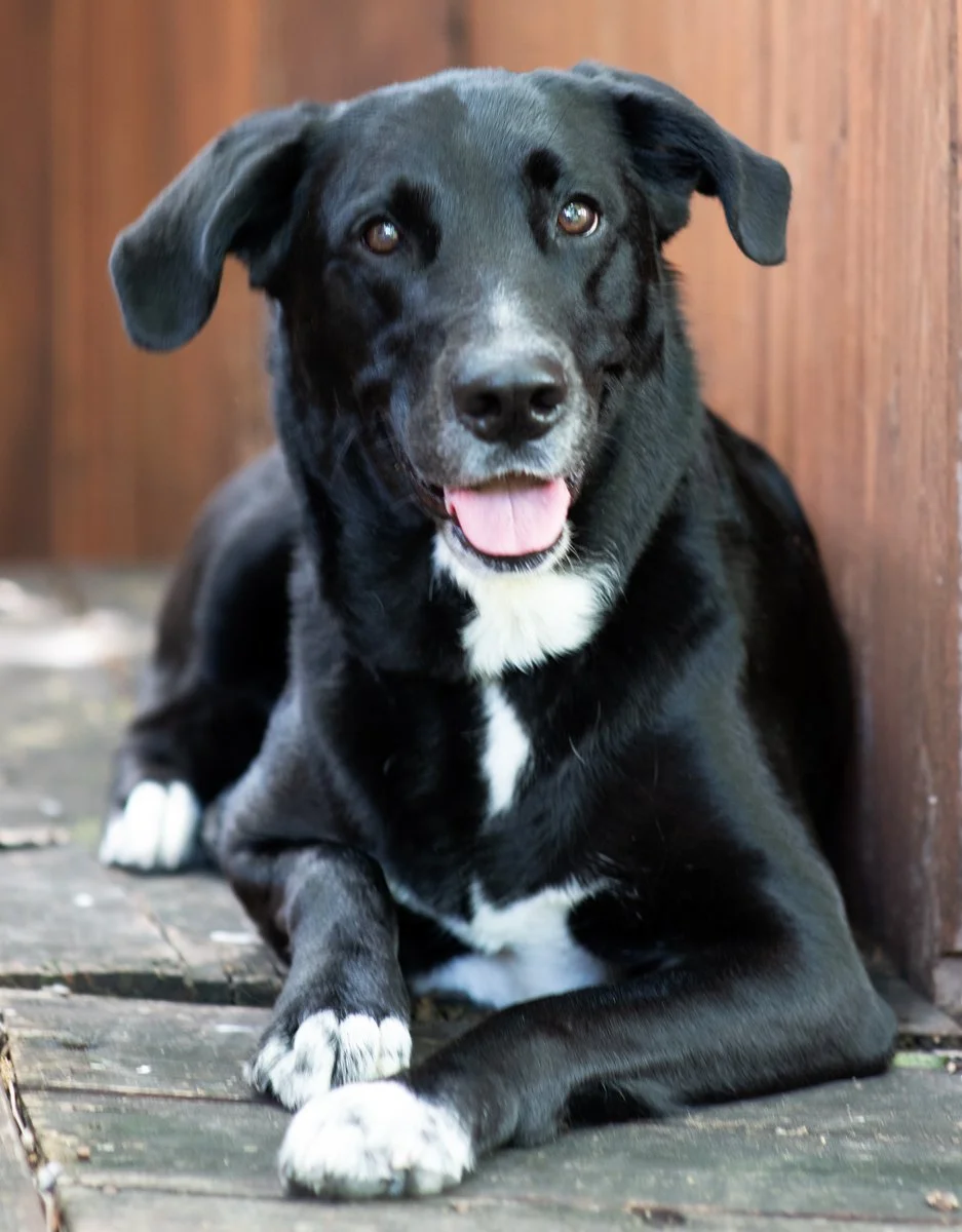 Bella-55.jpg