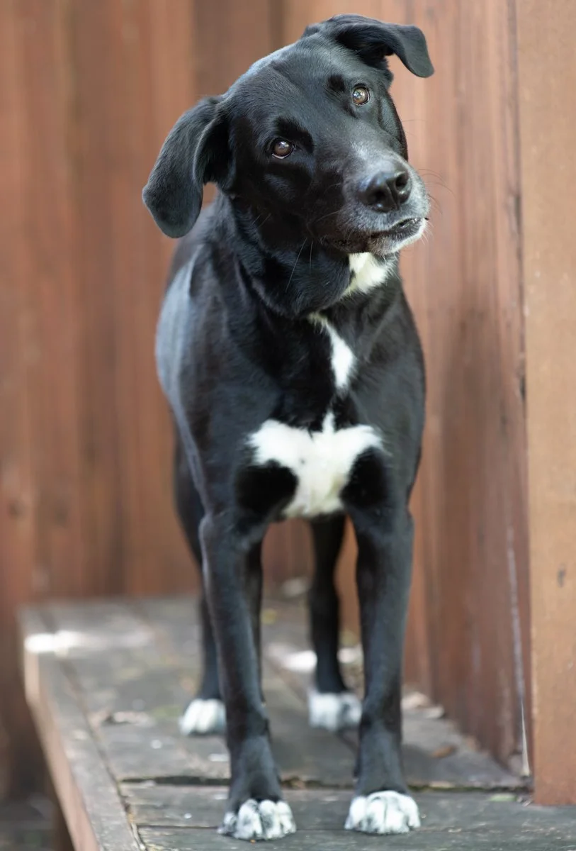 Bella-86.jpg
