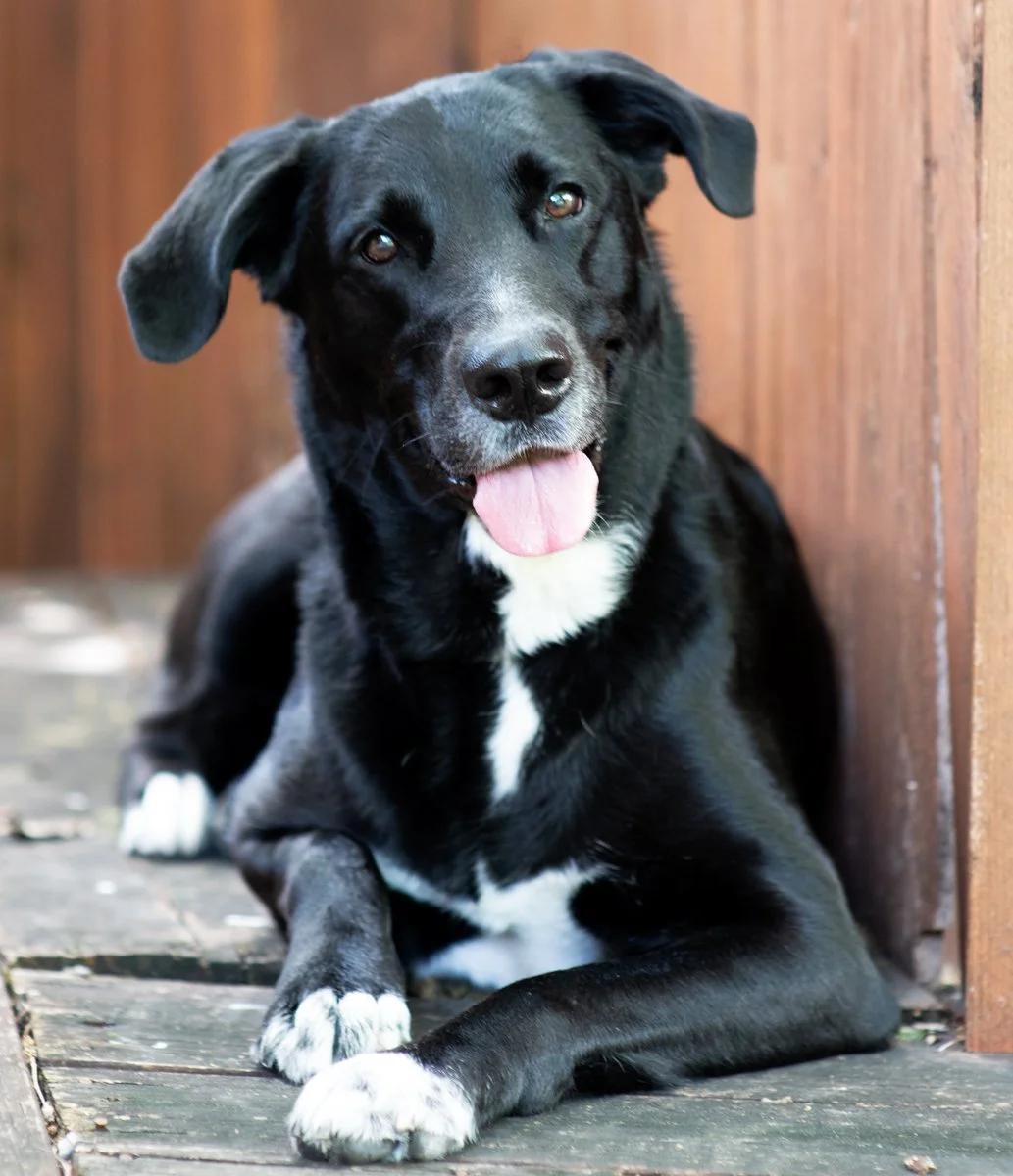 Bella-75.jpg