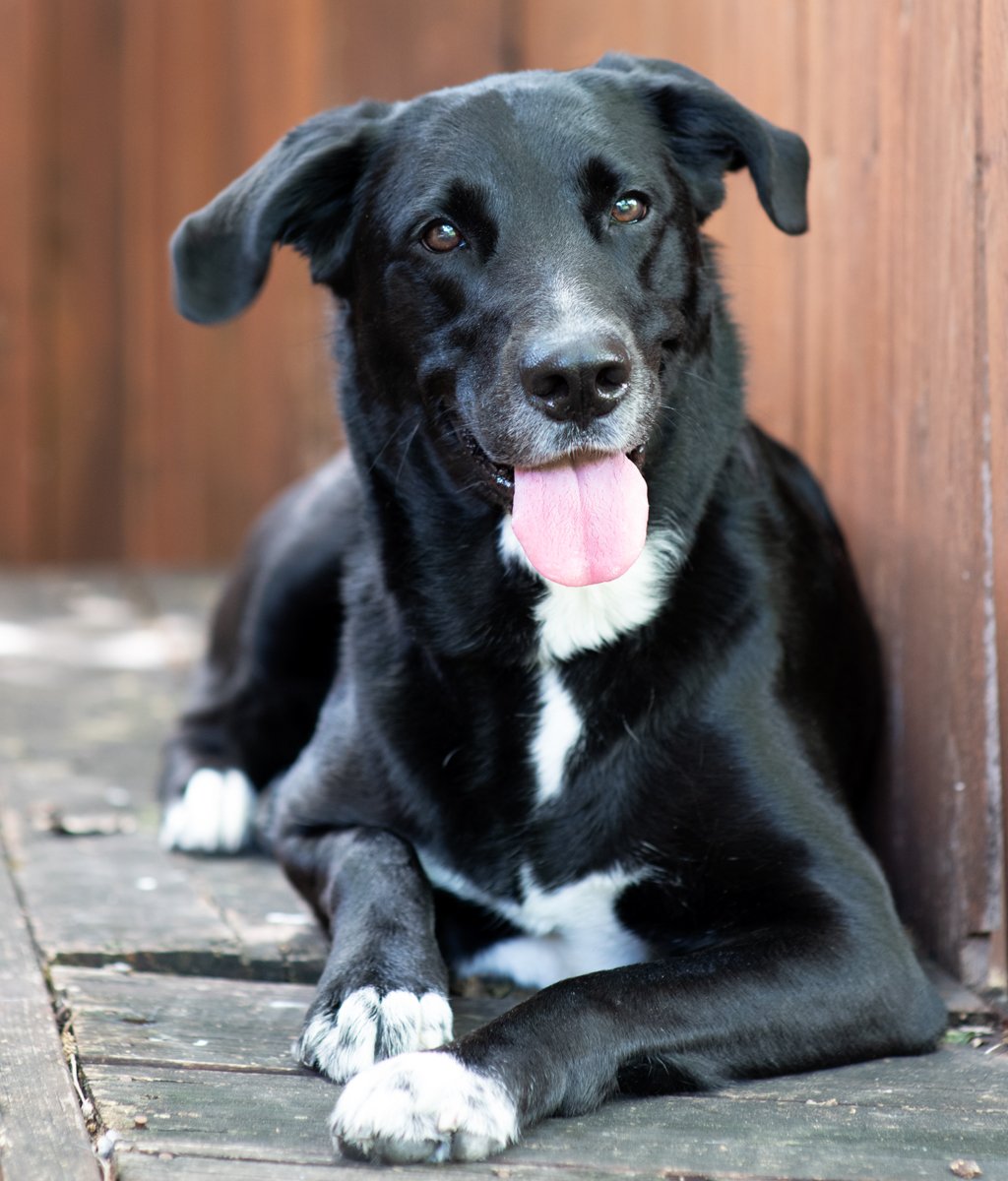 Bella-77.jpg