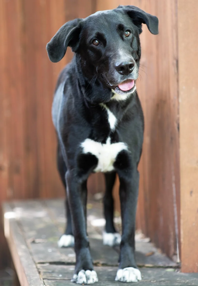 Bella-90.jpg