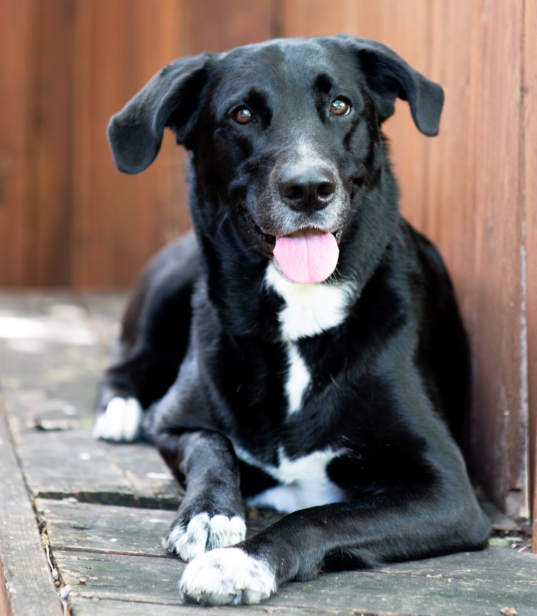 Bella-60.jpg