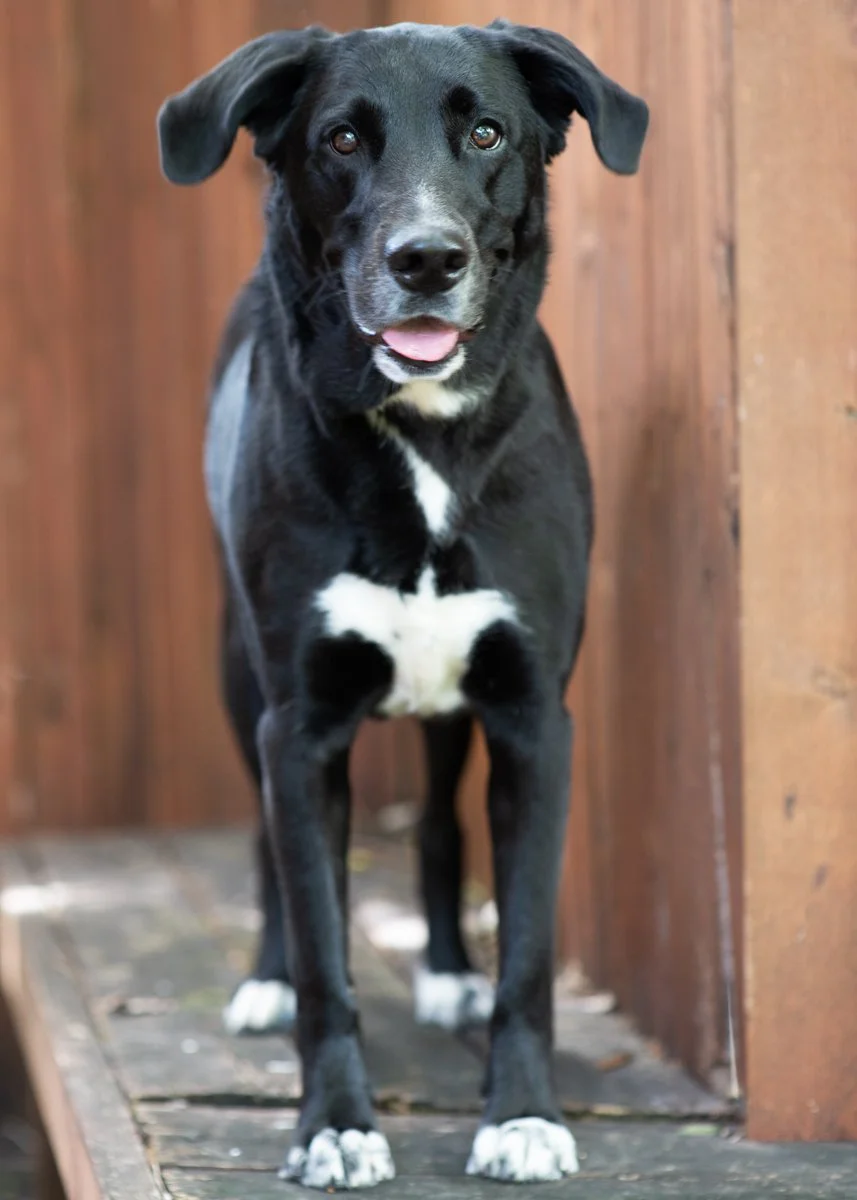 Bella-92.jpg