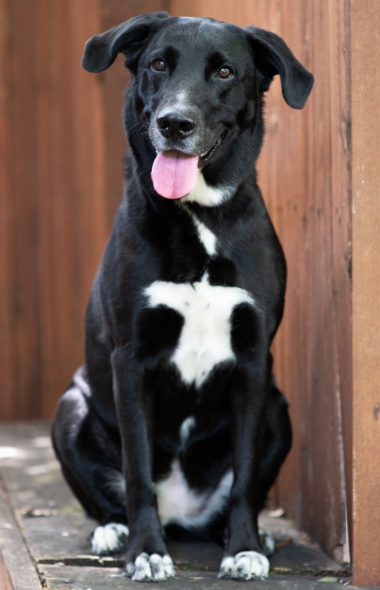 Bella-80.jpg