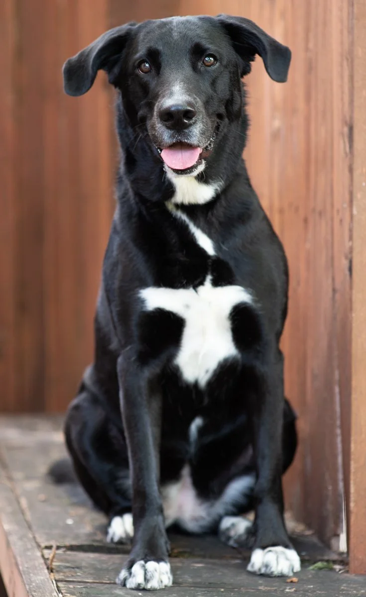Bella-35.jpg