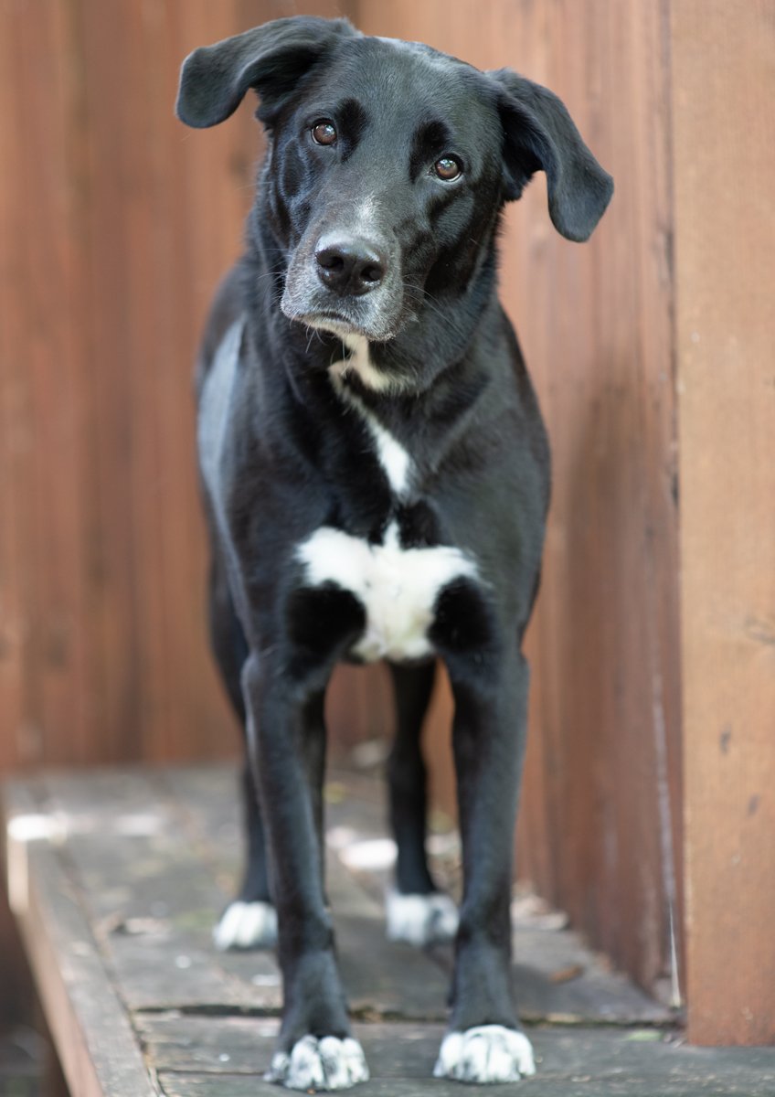Bella-88.jpg