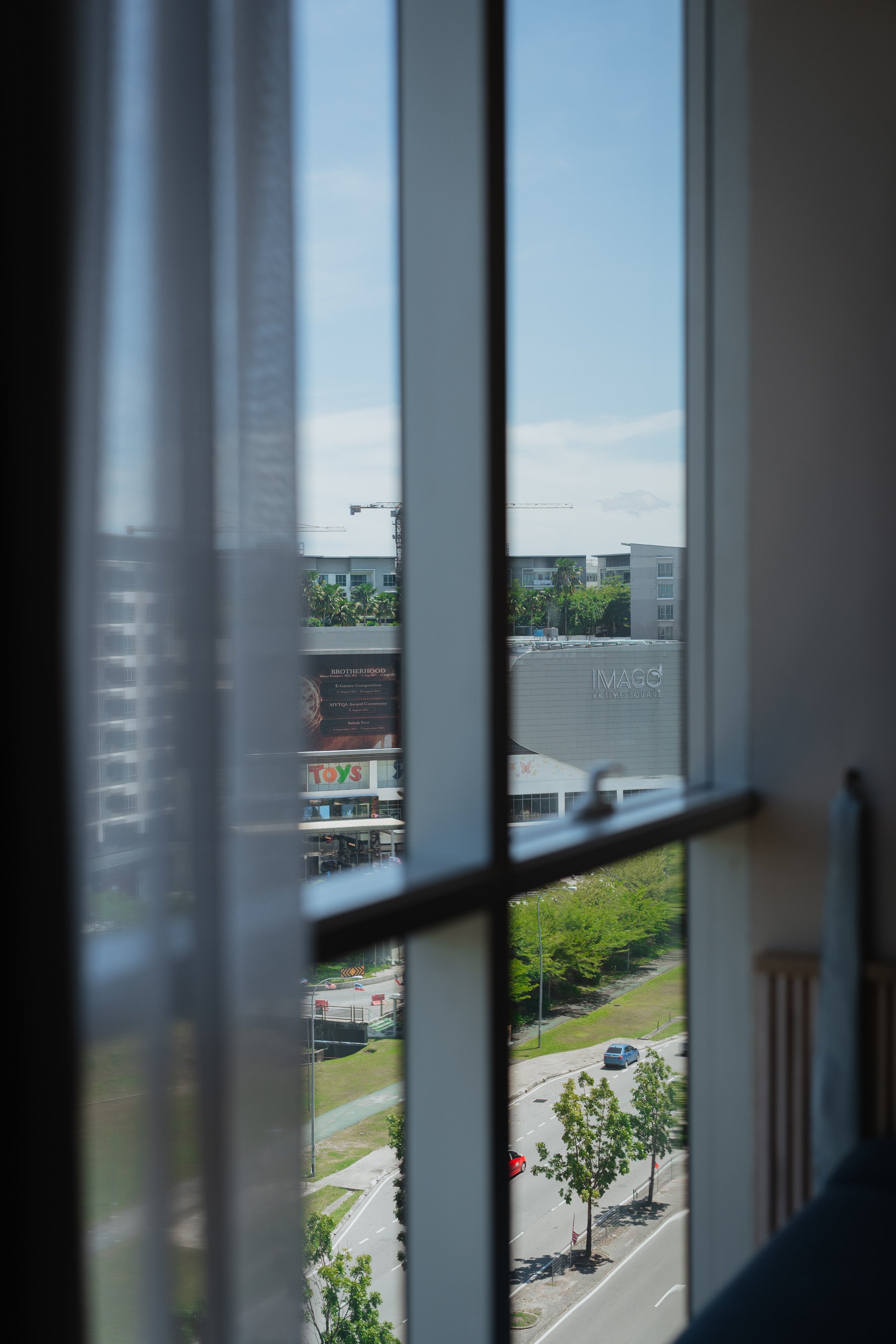 View of a city street and buildings through a window with curtains, showing parked cars and trees outside under a blue sky.