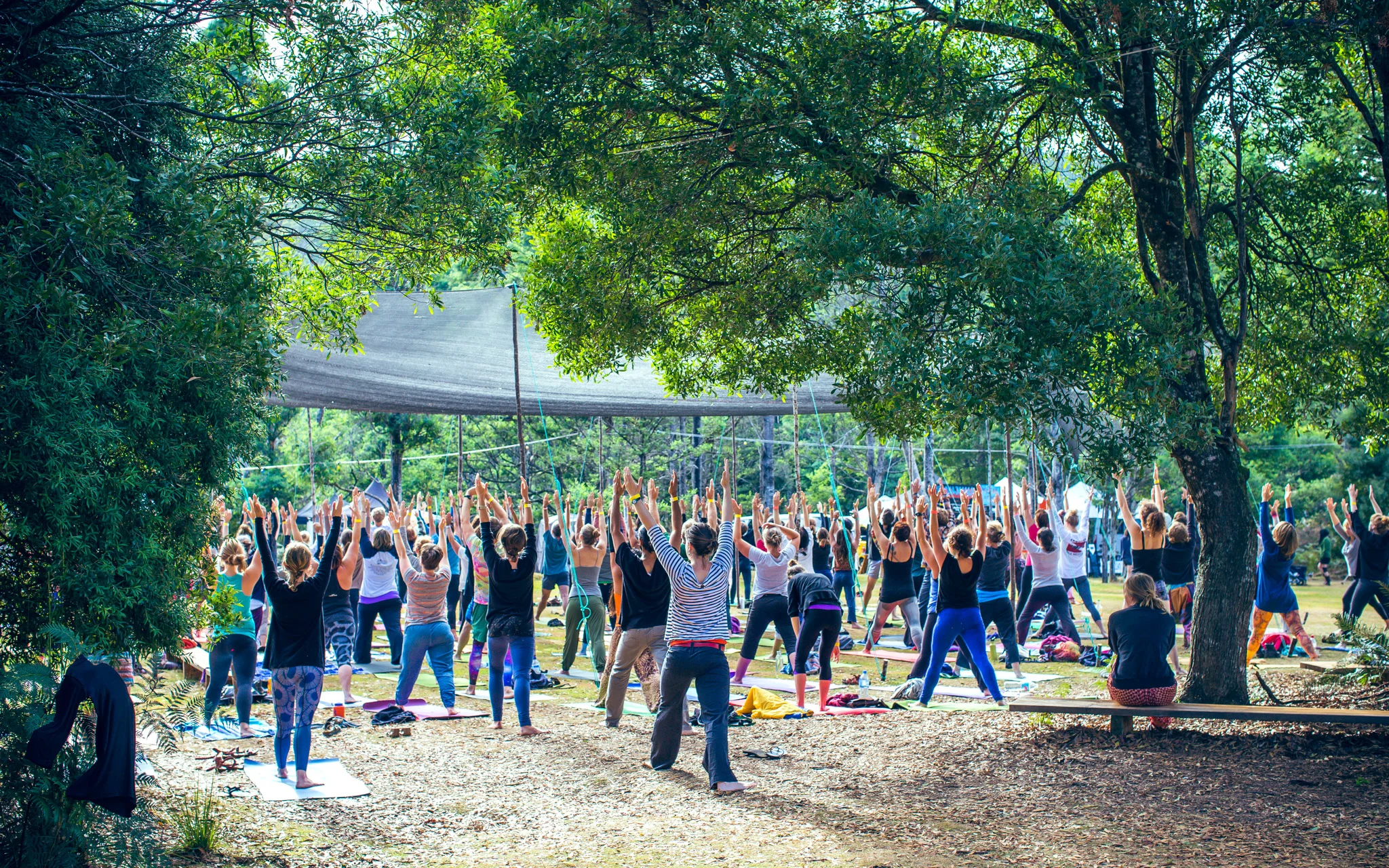 a Festival Called Panama 2015