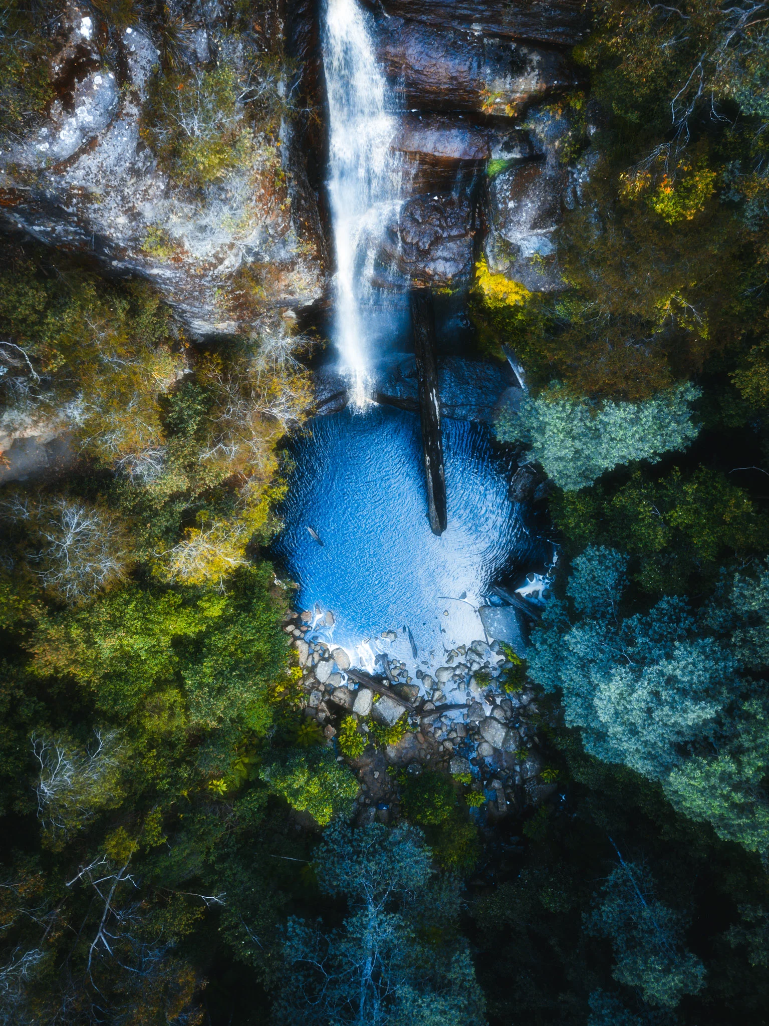 20171127-DJI_0607-Edit.jpg