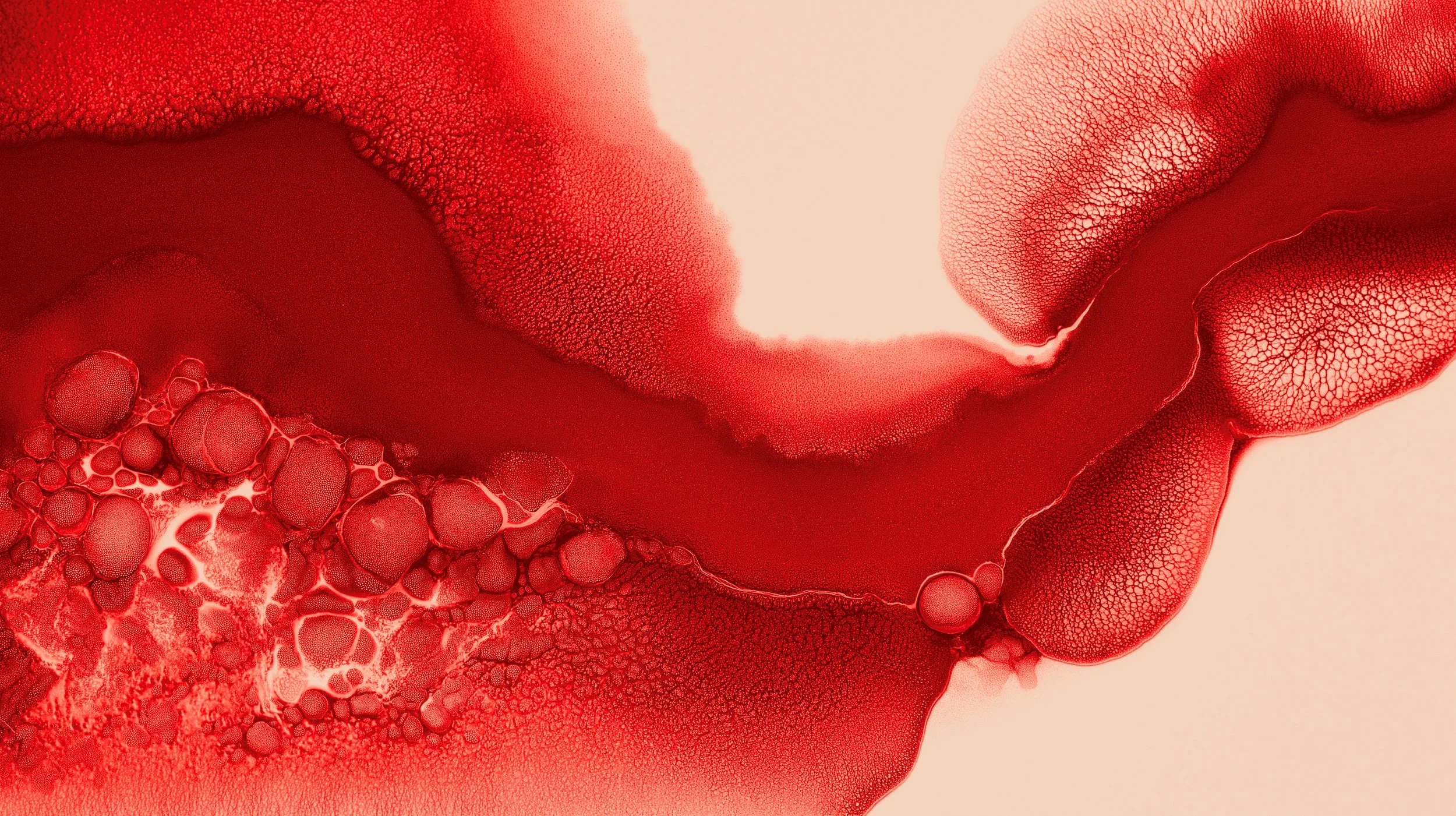 Abstract red and beige liquid with bubbles and cellular textures.