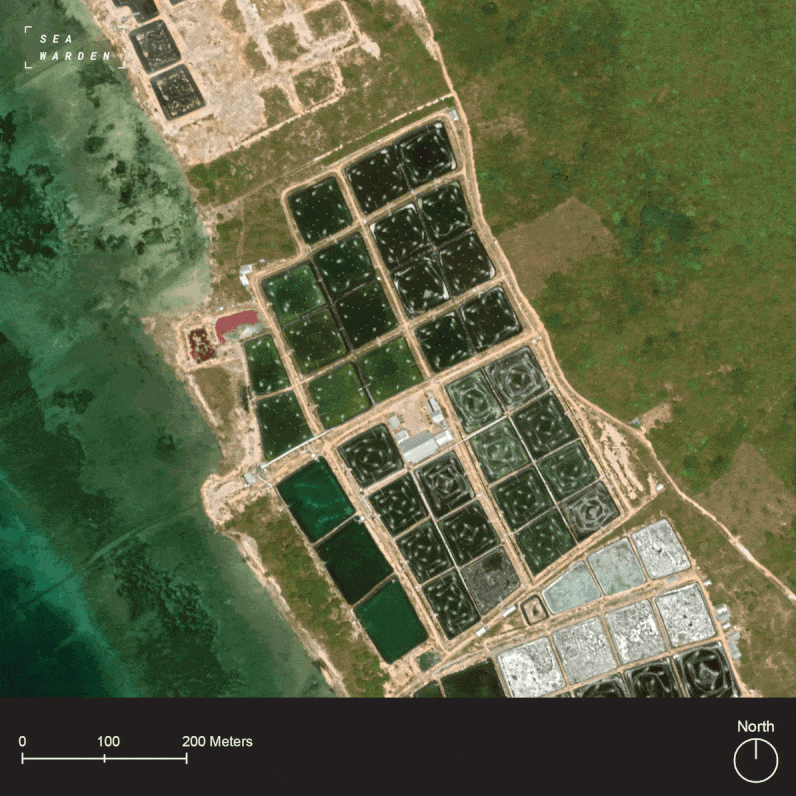 Client: Aquaculture Stewardship Council