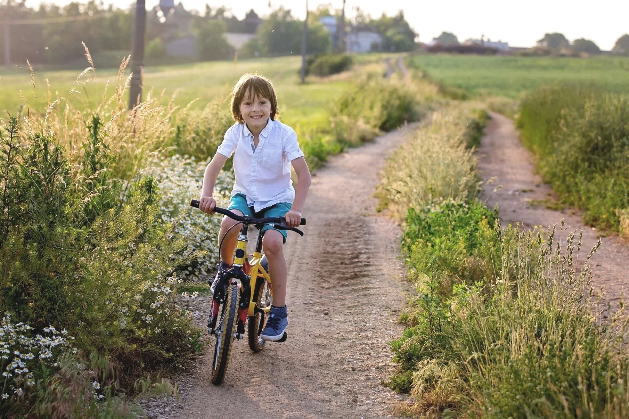 A young boy riding a bicycle on a dirt path through a green field during sunset.