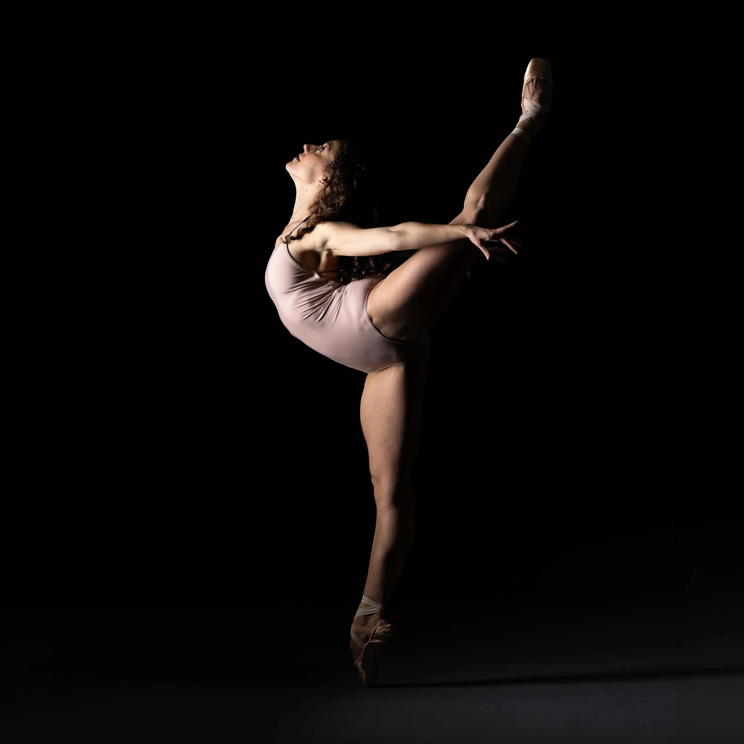 Showcase 2026 Photo Package #2