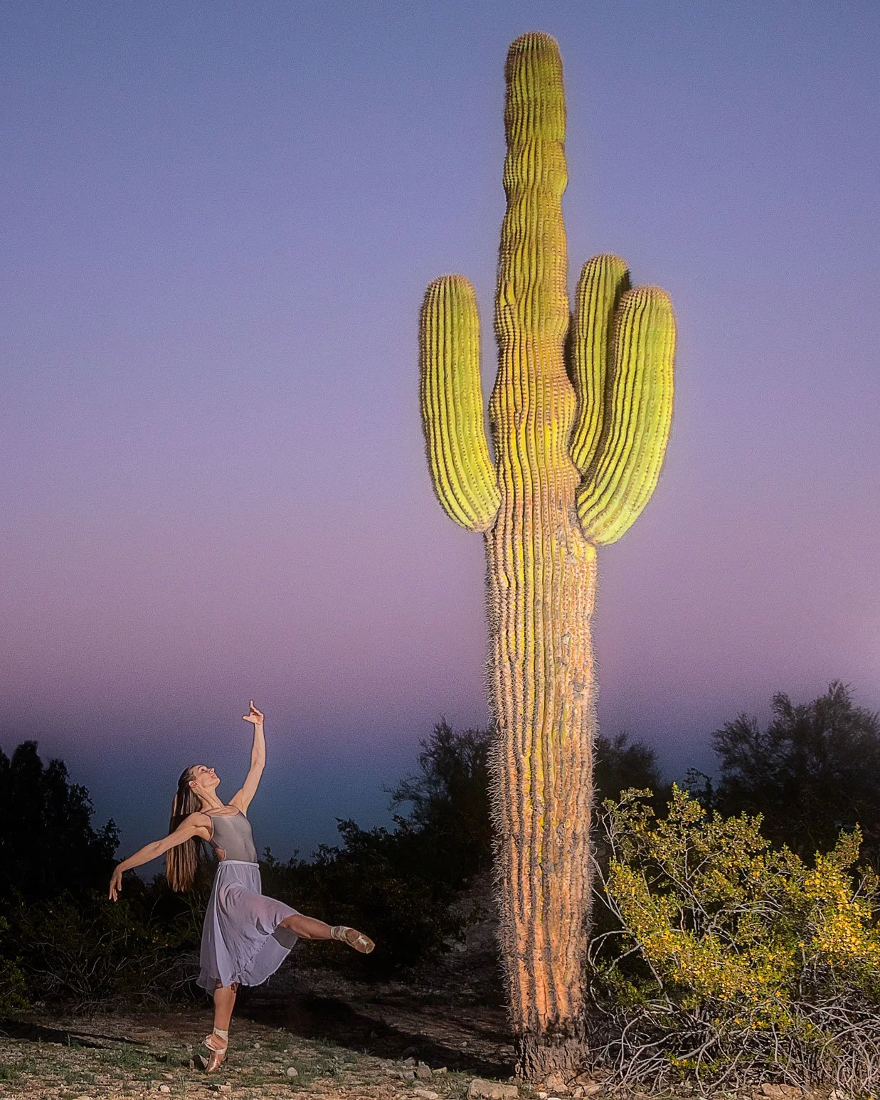 A woman in a gray dress dancing or performing ballet in front of a large saguaro cactus at dusk or night, with a colorful sky in the background.