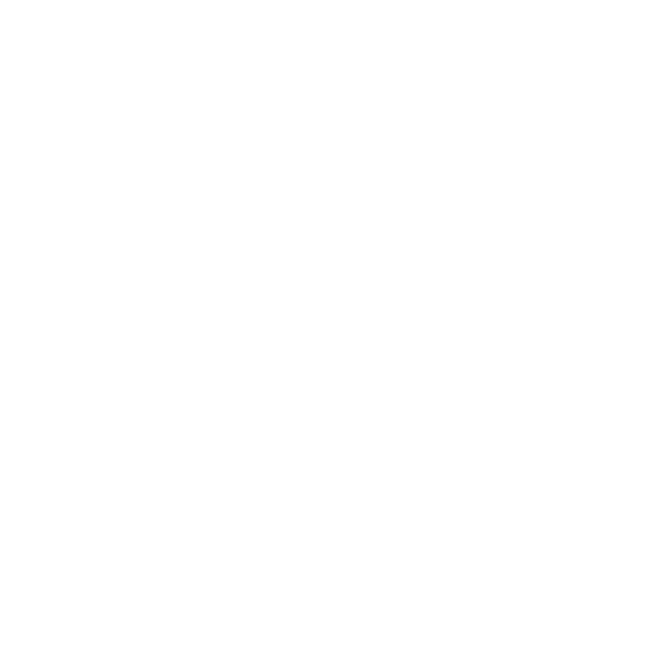 Flo PMC logo - A white silhouette of a bird in flight with no background.