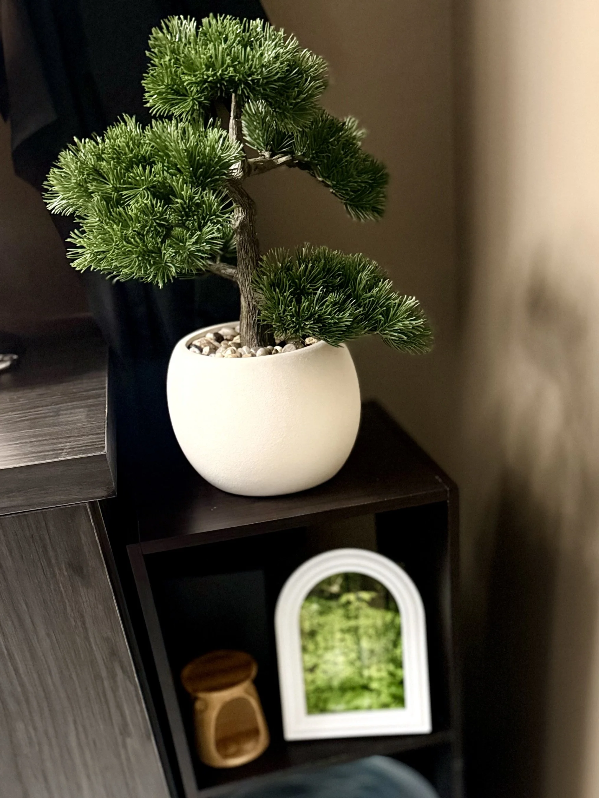 Consultation Options